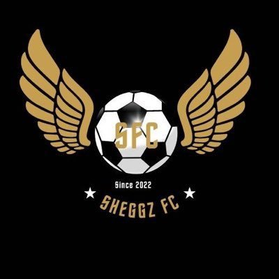 OFFICIAL FANPAGE FOR ALL THINGS @sheggzolu