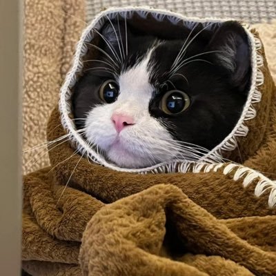 imx014's profile picture. 