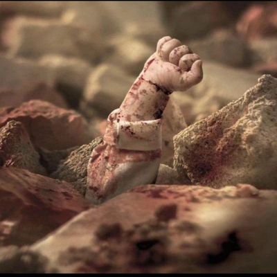 Ibrahim80563460's profile picture. لا إله إلا أنت سبحانك إني كنت من الظالمين