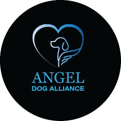 We are a 501(c)(3) raising funds to help rescues save dogs from high-kills shelters in the United States.