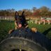 Tees Valley Couriers (@teescouriers) Twitter profile photo Tees Valley Couriers (@teescouriers) Twitter profile photo
