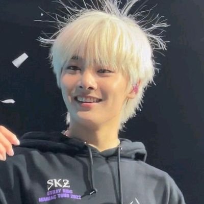 SKZ•TXT•ATEEZ       •you have a dream?•

hi!! new account^^