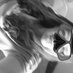 Nicole (@nicolen78628) Twitter profile photo Nicole (@nicolen78628) Twitter profile photo