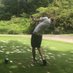 Clink (@clink_golf) Twitter profile photo