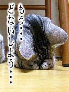 日々何かに怯えながらも自由を勝ち取ることを夢見るおやじ。
真の自由にオレはなる！！