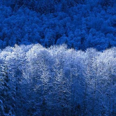 Mateus99164557's profile picture. 