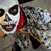 El Migue (@elmiguelve) 's Twitter Profile