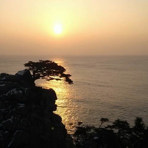 Carpe Diem
소소한 기쁨을 느끼며 하루하루 긍정적으로