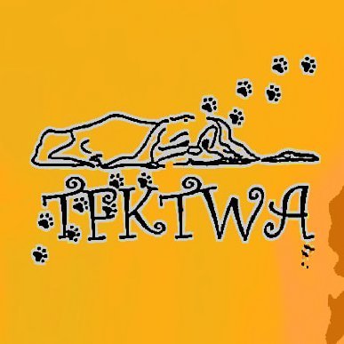 tfktwadjbb's profile picture. Launch 2025, training foster kids to work with animals Our dual mission is to prepare foster kids for adulthood & help animals at same time 🙏🐾😻🐶🐓🕊️