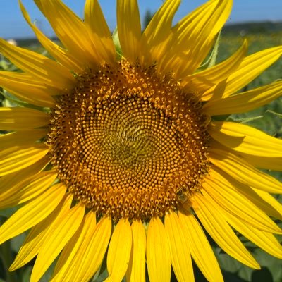 yukimi_okano's profile picture. 今は、心の石ころを癒してます。 小さい石ころから癒して、周りの人の心に寄り添っていけるセラピストになろうと思う。