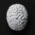 BrainOS (@badbraincode) Twitter profile photo BrainOS (@badbraincode) Twitter profile photo