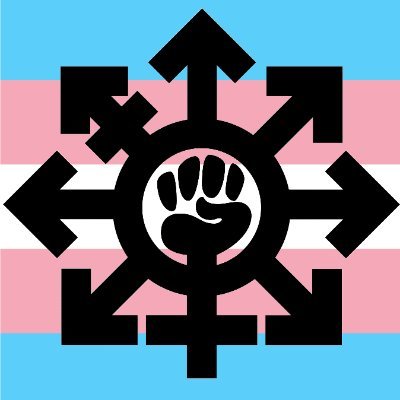 trantifa_arg's profile picture. 🇦🇷🏳️‍⚧️🏳️‍🌈 Militando el anarquismo transfeminista 🩷🖤