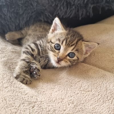 outofthelo83247's profile picture. 