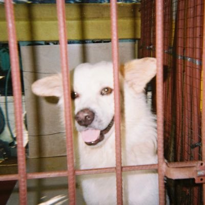 _crwnie's profile picture. light up, wanderlust 🌟