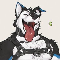 Crypto (@cryptodawg) 's Twitter Profile