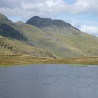 Peter L BROOKES (@petebro54) 's Twitter Profile