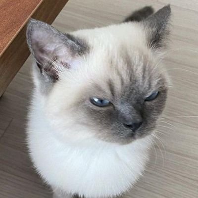 crissgo1's profile picture. ✝️