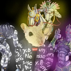 SCoiote2009's profile picture. 