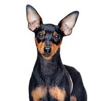 ApatheeMotorsport (@apatheemsport) 's Twitter Profile