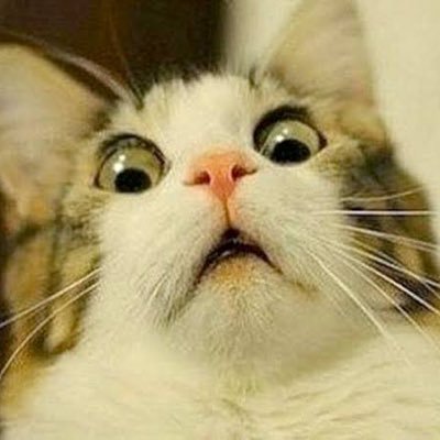 Your husband | Memes | Funny | Relatable | Random Making memes and funny tweets for instagram Instagram @tumarjamaai