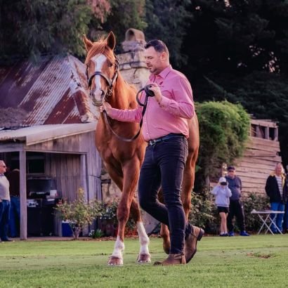 Proud Irishman on the West Coast of Australia 
Horse racing and breeding 🏇🏾
Celtic FC 🍀

Views and opinions are my own, that doesn't mean I'm right!