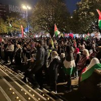 S Hassan (@motheringmusing) 's Twitter Profile