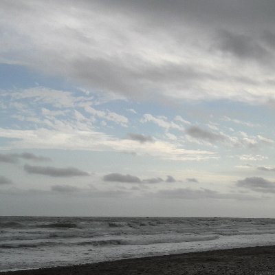 LauraM_574's profile picture. Tengo 23, envido. Así de claro.