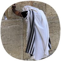 🇮🇱 The Messiah 🇮🇱(@YardenBenJoseph) 's Twitter Profile Photo