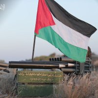 Alaa Amer (@alaaamer2) 's Twitter Profile