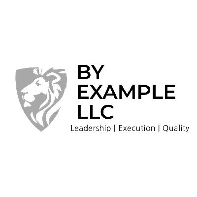 By Example LLC is a Service-Disabled Veteran Owned Small Business (SDVOSB) that embodies the spirit of resilience and determination.