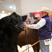 Cowboy Kade (@kadeearley) 's Twitter Profile