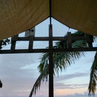 4737 (@q4737) 's Twitter Profile