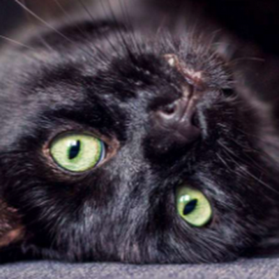 marsbars3835's profile picture. 