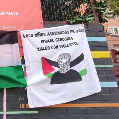 Asociación de Familias de la Escuela Infantil Zaleo. 
Por una educación pública de calidad, universal y gratuita. 
#ZaleoConPalestina 🇵🇸🇵🇸🇵🇸