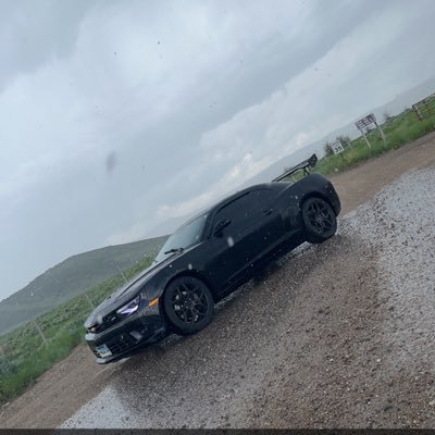 gladly_s's profile picture. 