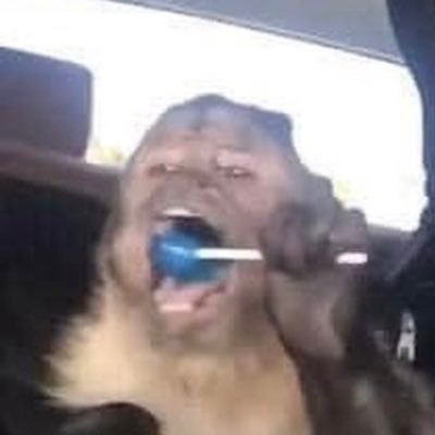 avgirl5000x's profile picture. 