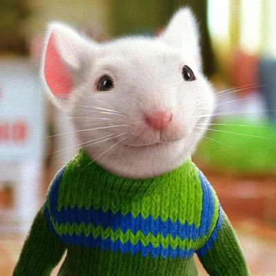 k_xoxo1234's profile picture. 