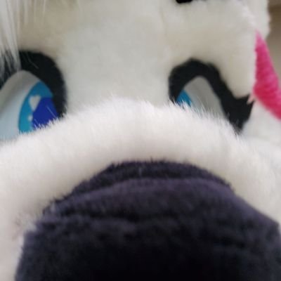 Tanzanite Foxさんのプロフィール画像