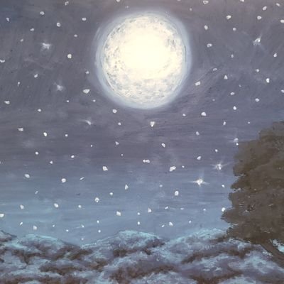 toiltali233's profile picture. You all misunderstood I'm a female. Actually I'm a Male, the Super Hero the balance unisex Resolver currently.