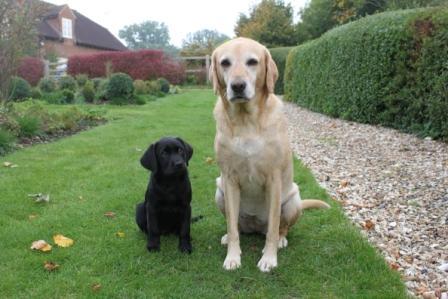 thejanemoom's profile picture. Chelsea FC supporting, crime drama loving super Granny!