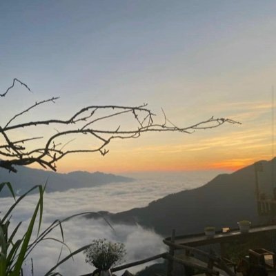 Long29262693's profile picture. Flying clouds