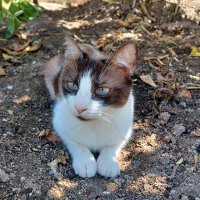 maria 🌈 (@mjbop) 's Twitter Profile Photo maria 🌈 (@mjbop) 's Twitter Profile Photo