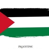 History didn't start on October 7.
I stand with resistance against 75 years of occupation, I stand with palestine 🇵🇸, I'm a proud anti-zionist.