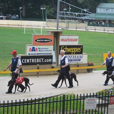 Frequent browser of the ASX, NYSE and NASDAQ. Crypto enthusiast. Some people enjoy the Horses, for me, its the Dog Racing.