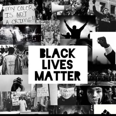 MKunlesh's profile picture. 