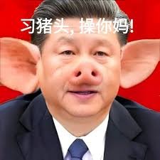 共匪习近平全家死光光