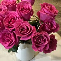 بدرية ناصر (@badreyabint) 's Twitter Profile