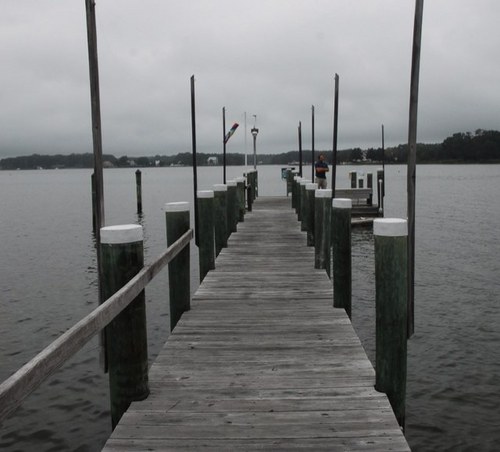 skigal's profile picture. Wife, Mother, Baseball and Football Fan!