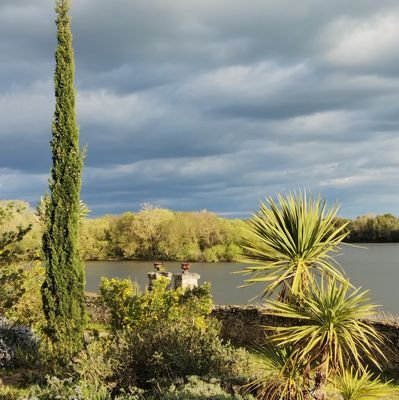 BenLedroid's profile picture. Angevin 🌈  - Génération 77