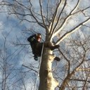 Andrew Ryan Mink - @minklovenotwar - Twitter